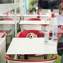 Filename=496179039_18499786978000657_7152161424127225728_n.jpg
Filesize=56KiB
Dimensions=640x798
Date added=Aug 22, 2025 496179039_18499786978000657_7152161424127225728_n.jpg