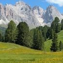 Filename=506039376_18509134864000657_8363087838197390715_n.jpg
Filesize=149KiB
Dimensions=640x800
Date added=Aug 22, 2025 506039376_18509134864000657_8363087838197390715_n.jpg